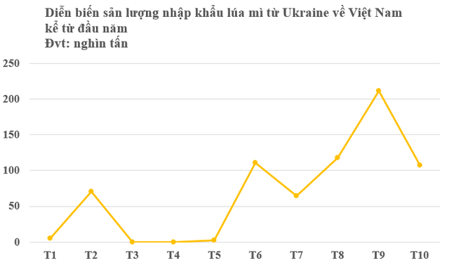 Không phải gạo hay ngô, Ukraine vừa đưa hàng trăm nghìn tấn nông sản quan trọng về Việt Nam chỉ trong 1 tháng: Nước ta tiêu thụ đứng top thế giới, thuế nhập khẩu 0% - Ảnh 2. Không phải gạo hay ngô, Ukraine vừa đưa hàng trăm nghìn tấn nông sản quan trọng về Việt Nam chỉ trong 1 tháng: Nước ta tiêu thụ đứng top thế giới, thuế nhập khẩu 0% - Ảnh 2.