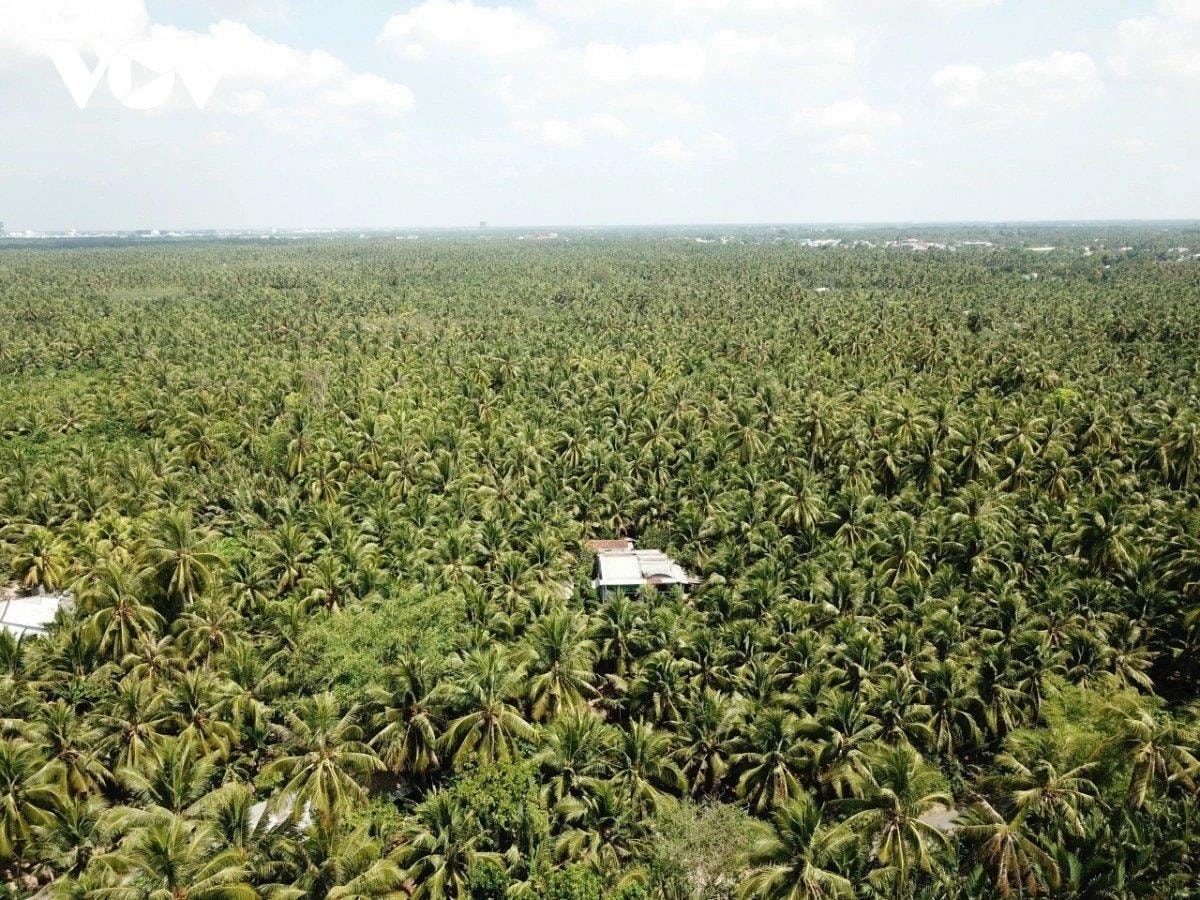 Đặc sản triệu đô của Việt Nam bất ngờ lao dốc cực mạnh: Vì sao nên nỗi?- Ảnh 5.