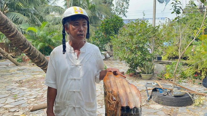 Chủ nh&acirc;n 'c&acirc;y dừa bị t&ocirc;n bay ch&eacute;m đứt th&acirc;n' trong b&atilde;o số 13 n&oacute;i g&igrave;?- Ảnh 1.