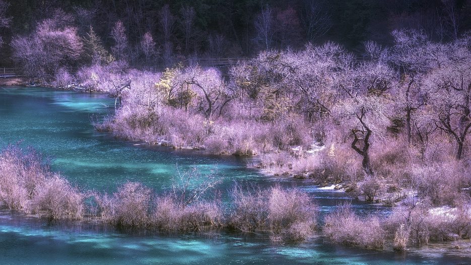 Khách Việt kể chuyện du lịch điểm nổi tiếng ở Trung Quốc, nhận xét: "Đi rồi mới biết là kiếp nạn!"- Ảnh 10.