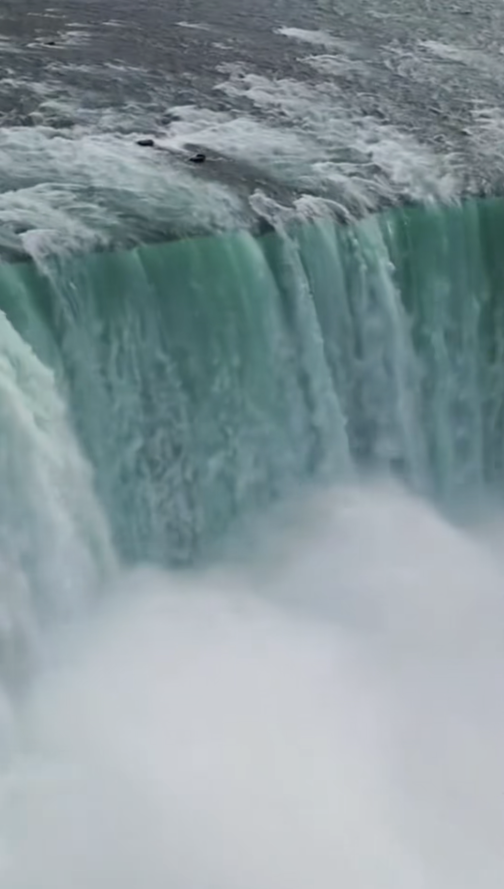 Tình trạng “đáng báo động” của khách Tây khi thử đặc sản Việt Nam- Ảnh 6. Tình trạng “đáng báo động” của khách Tây khi thử đặc sản Việt Nam- Ảnh 6.