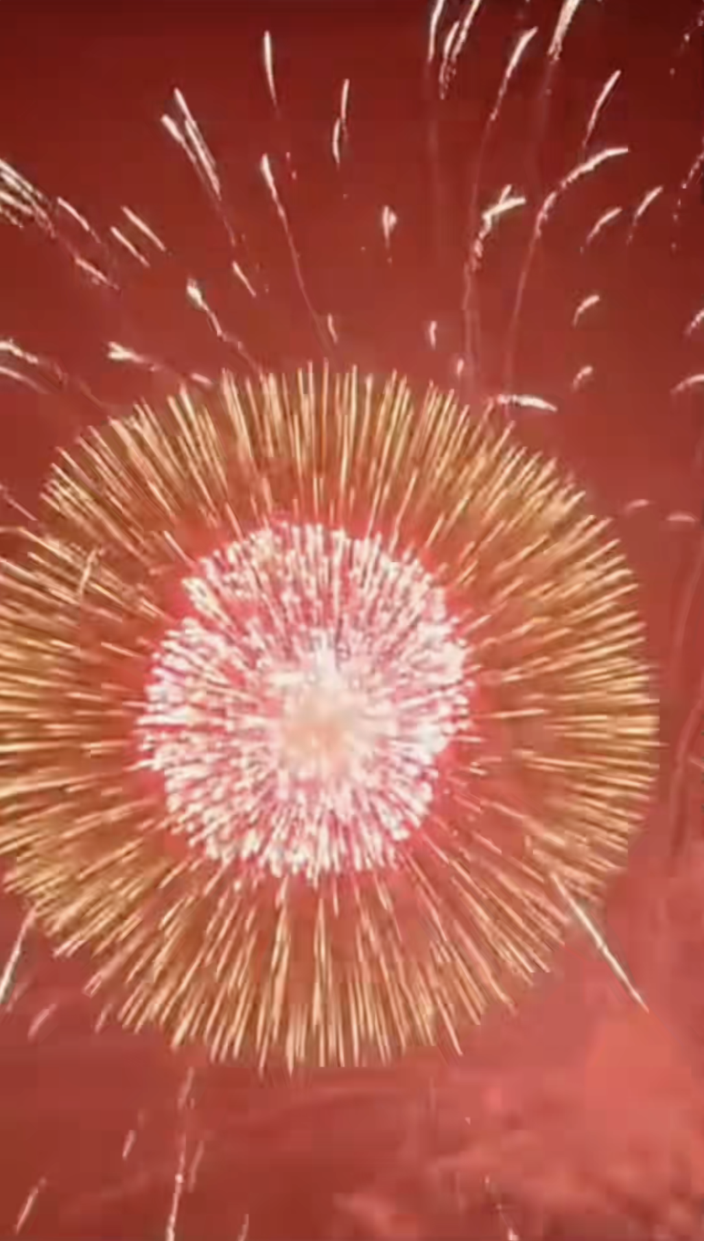 Tình trạng “đáng báo động” của khách Tây khi thử đặc sản Việt Nam- Ảnh 7. Tình trạng “đáng báo động” của khách Tây khi thử đặc sản Việt Nam- Ảnh 7.