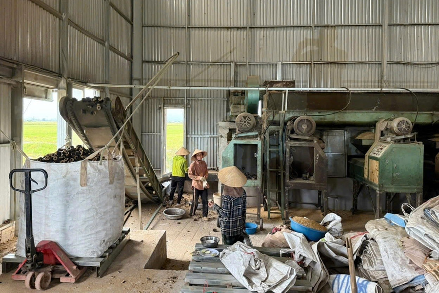 Dùng vỏ trấu chế biến ra củi, nông dân thu hàng trăm triệu đồng mỗi năm- Ảnh 7.