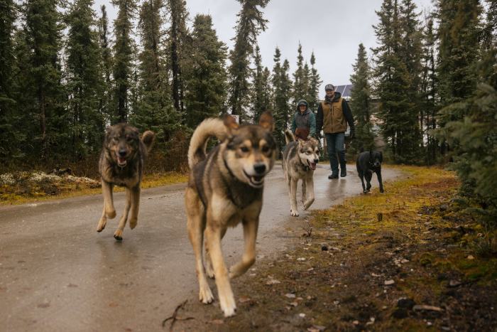 Hứng đòn đau vì Trung Quốc chặn mặt hàng Mỹ không thể sản xuất dù chỉ 1 gram, người dân bỏ qua cả vàng để săn lùng kho báu: Liệu có thoát phụ thuộc Bắc Kinh?- Ảnh 14.