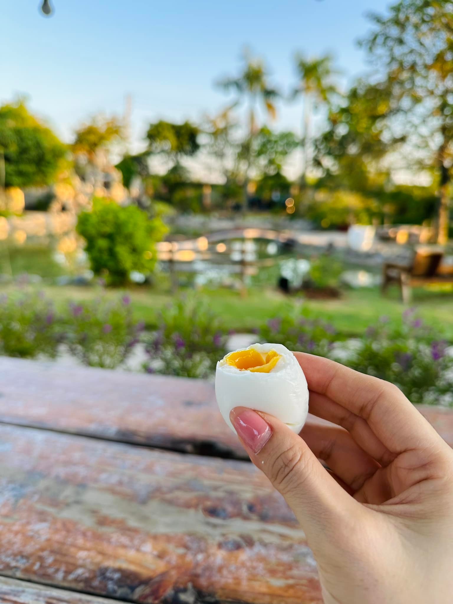 Chuyện ăn uống của Mỹ Tâm gây bất ngờ lớn- Ảnh 22.