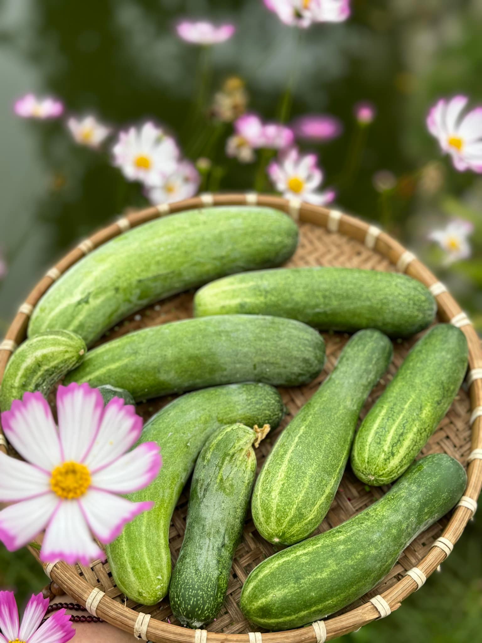 Chuyện ăn uống của Mỹ Tâm gây bất ngờ lớn- Ảnh 16.