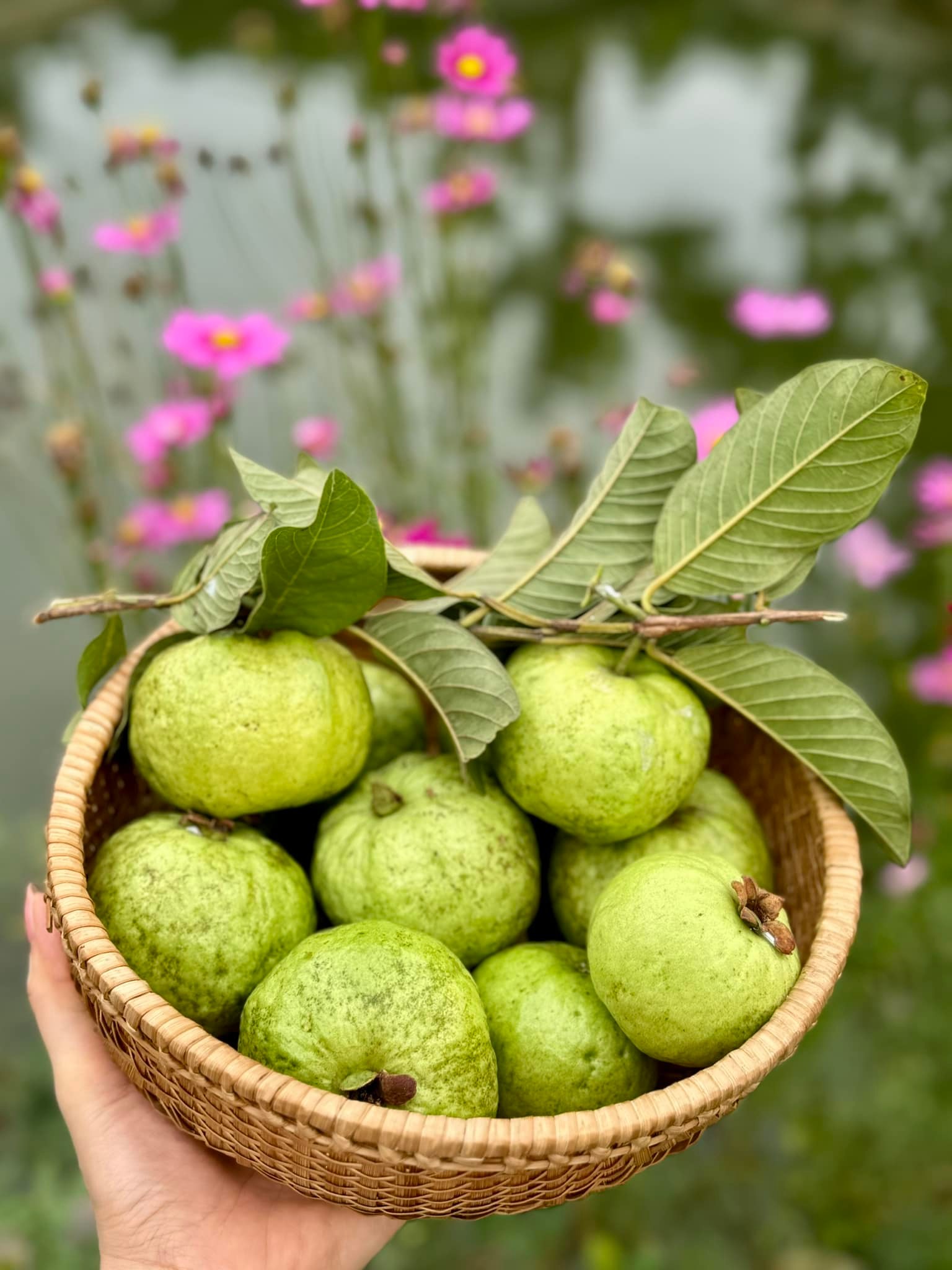 Chuyện ăn uống của Mỹ Tâm gây bất ngờ lớn- Ảnh 17.