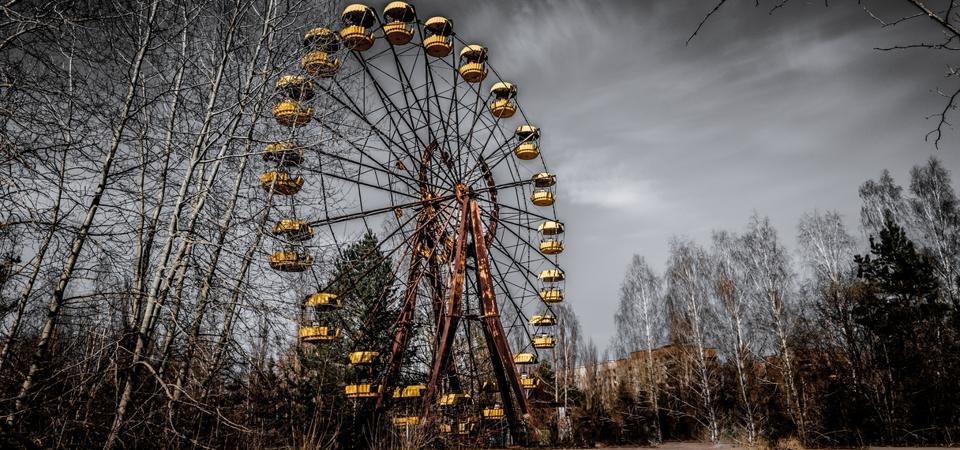 Bí ẩn về loài nấm đen mới được phát hiện, có thể 'ăn' bức xạ ở Chernobyl- Ảnh 1.
