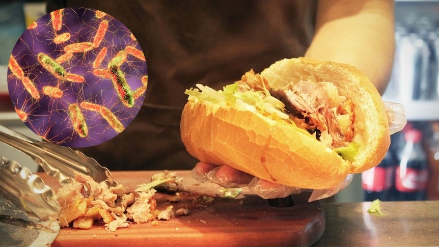 Hiểm họa mang tên Salmonella: Vi khuẩn ẩn mình trong bữa ăn hàng ngày có thể gây tử vong- Ảnh 2.