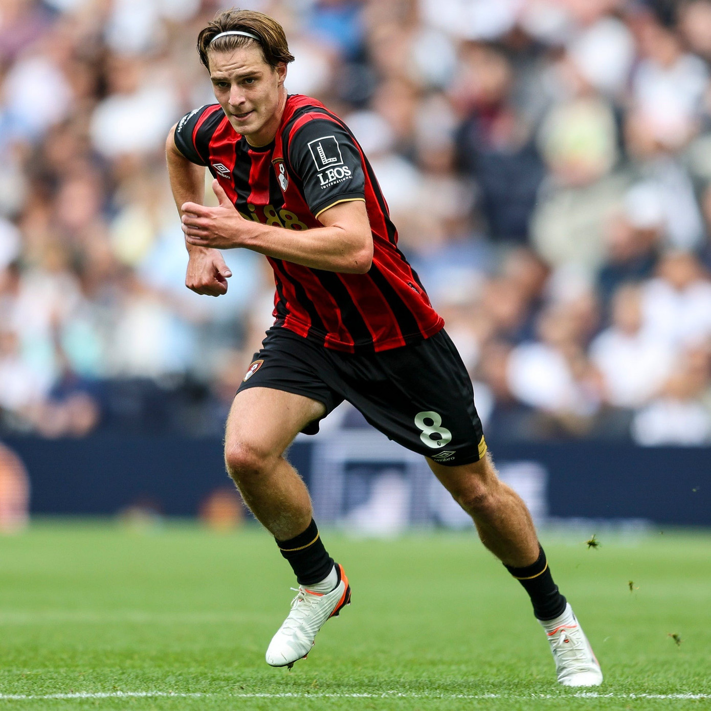 Alex Scott và sự thăng tiến vũ bão từ giải hạng 8 đến đội tuyển Anh- Ảnh 2.