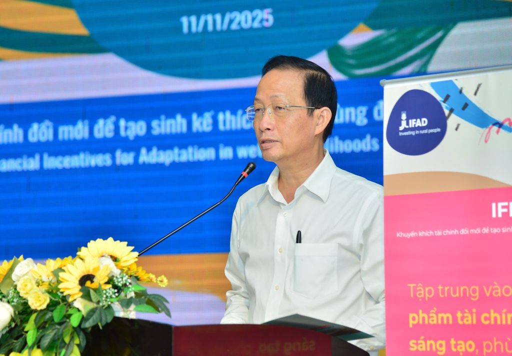 Một dự án 5 triệu USD của Liên hợp quốc có thể 