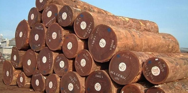 Cứu tinh từ Campuchia đổ bộ giúp Việt Nam cạnh tranh với Thái Lan ngôi vương của thế giới: Thuế nhập khẩu ưu đãi 0%, thế giới đang ngày càng khan hiếm- Ảnh 1.