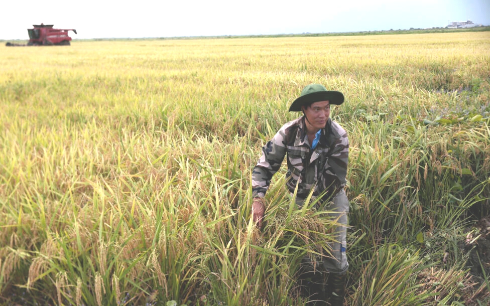 Thực phẩm ‘ngậm’ nhiều vi nhựa có mặt thường xuyên trên mâm cơm người Việt- Ảnh 2.