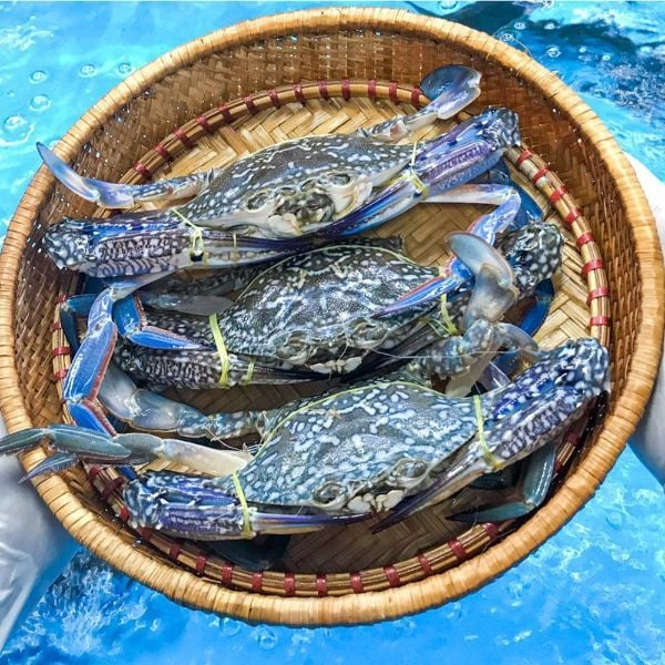 Ghẹ đỏ - ghẹ xanh kh&aacute;c g&igrave; nhau? Đi chợ phải nhớ 3 mẹo n&agrave;y để chọn h&agrave;ng chất lượng- Ảnh 1.