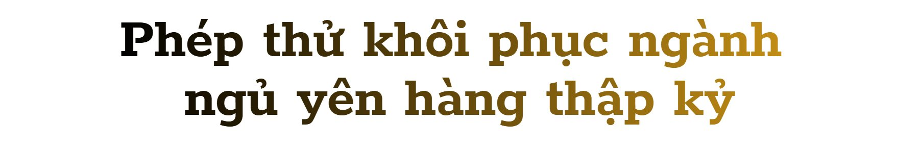 Hứng đòn đau vì Trung Quốc chặn mặt hàng Mỹ không thể sản xuất dù chỉ 1 gram, người dân bỏ qua cả vàng để săn lùng kho báu: Liệu có thoát phụ thuộc Bắc Kinh?- Ảnh 5.