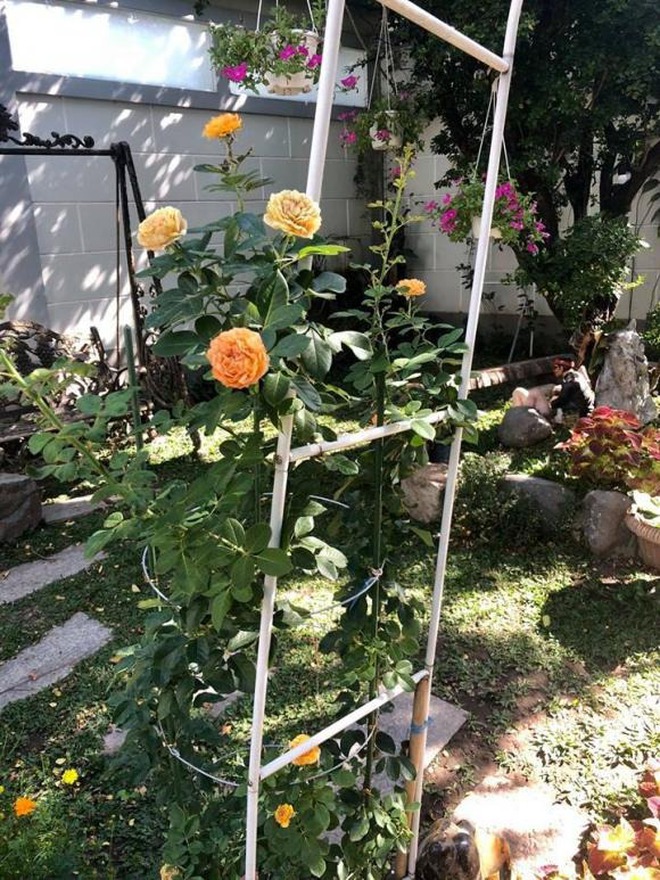 Nơi dưỡng già của NSND Hồng Vân - Ảnh 6. Nơi dưỡng già của NSND Hồng Vân - Ảnh 6.