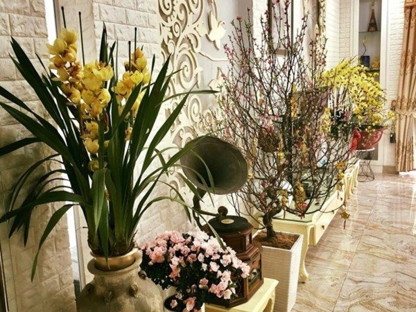 Nơi dưỡng già của NSND Hồng Vân - Ảnh 10. Nơi dưỡng già của NSND Hồng Vân - Ảnh 10.