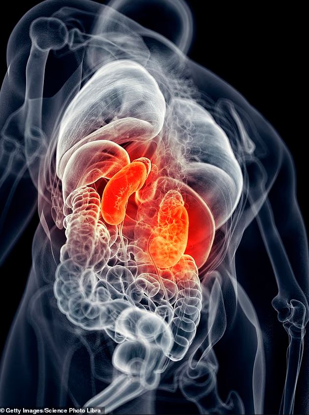 Suy thận mãn tính đang trở thành 