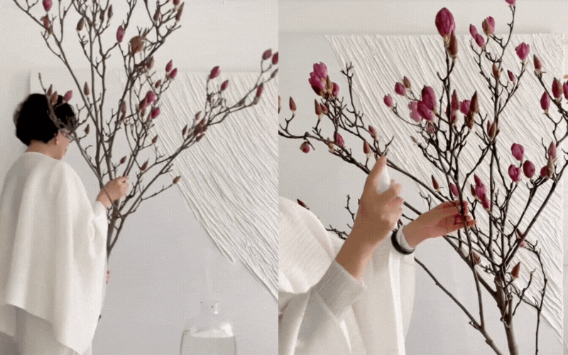 “Cành cây khô” giá bạc triệu khiến hội chị em phát sốt: Mộc lan chơi được cả tháng, nở rộ như tranh nếu biết chăm đúng cách- Ảnh 5.