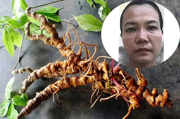 Bắt tạm giam Trương Thị An- Ảnh 1. Bắt tạm giam Trương Thị An- Ảnh 1.