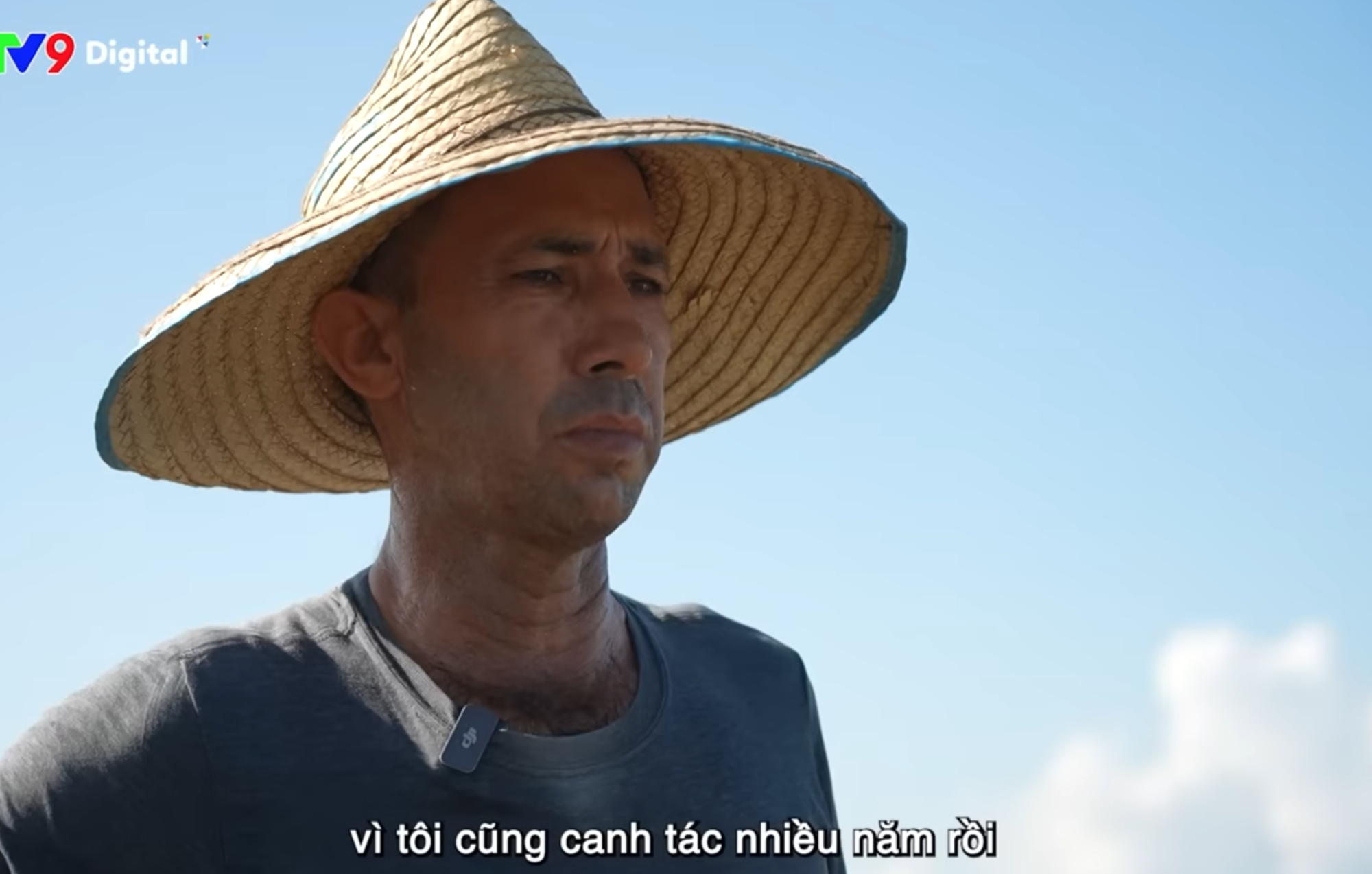 Giống lúa Việt Nam “gây bão” ở Cuba: Người dân nước bạn nói gì?- Ảnh 2.