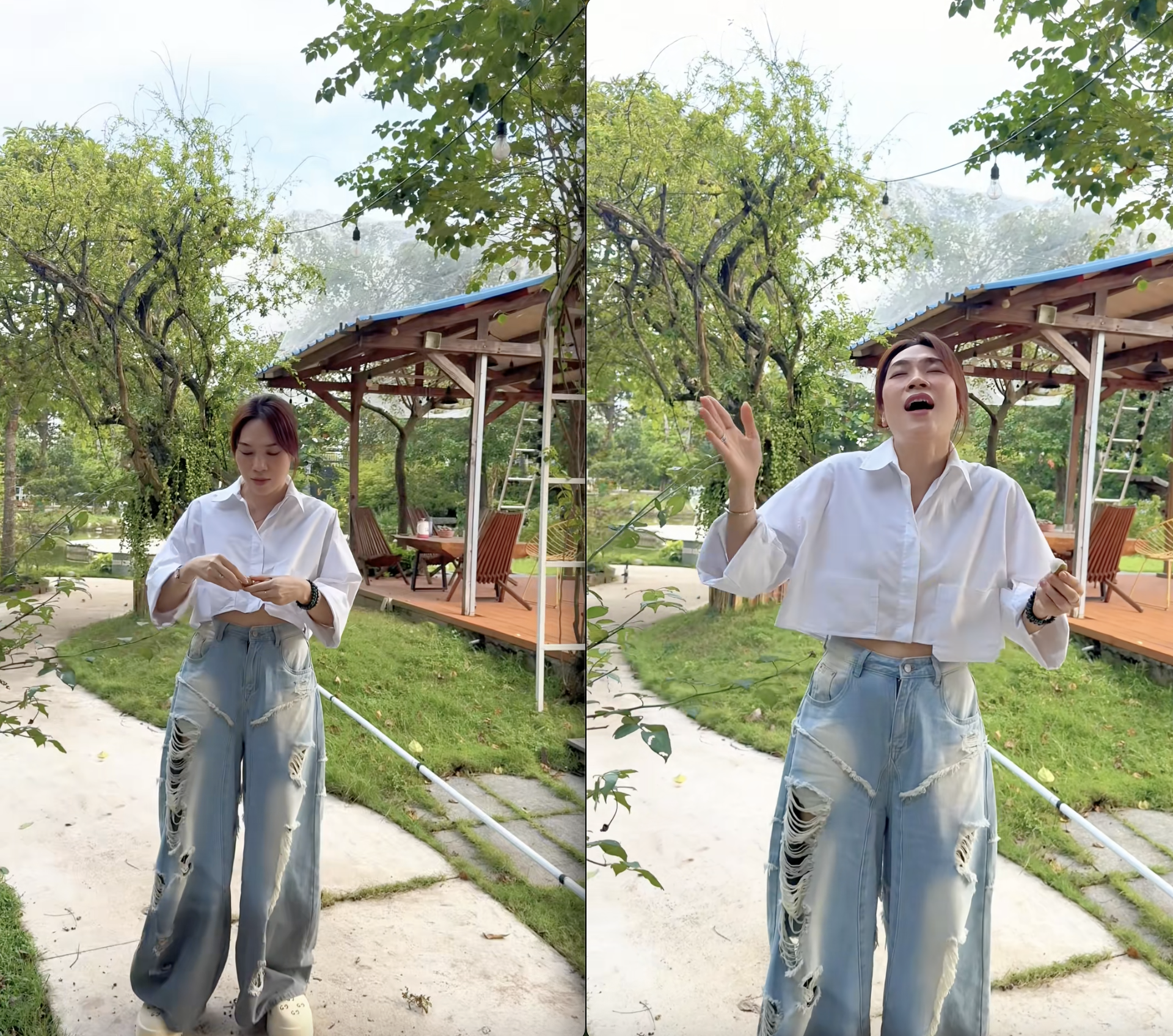 Mỹ Tâm khoe "tài sản khủng", có tiền chưa chắc mua được- Ảnh 1.