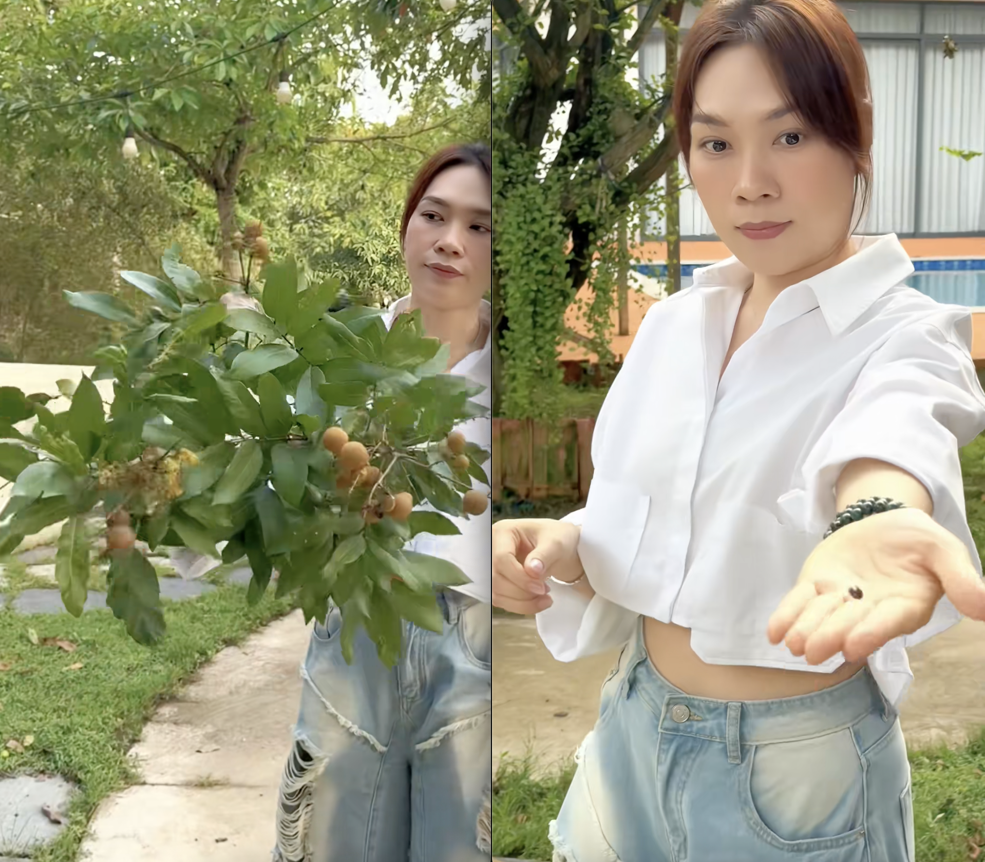 Mỹ Tâm khoe "tài sản khủng", có tiền chưa chắc mua được- Ảnh 2.