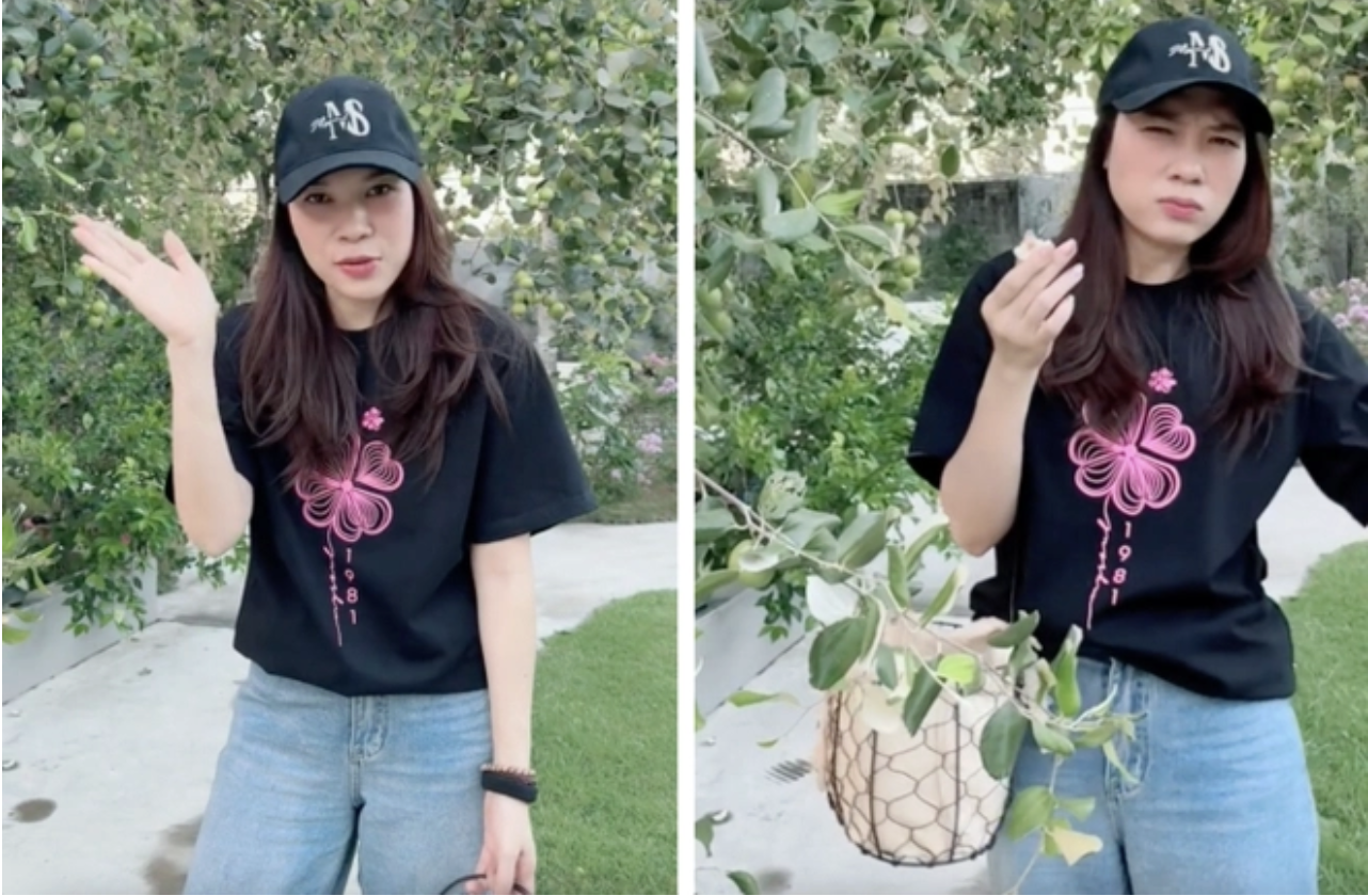 Mỹ Tâm khoe "tài sản khủng", có tiền chưa chắc mua được- Ảnh 4.