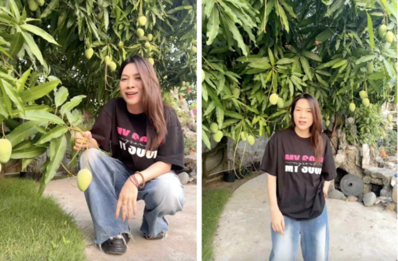 Mỹ Tâm khoe "tài sản khủng", có tiền chưa chắc mua được- Ảnh 5.