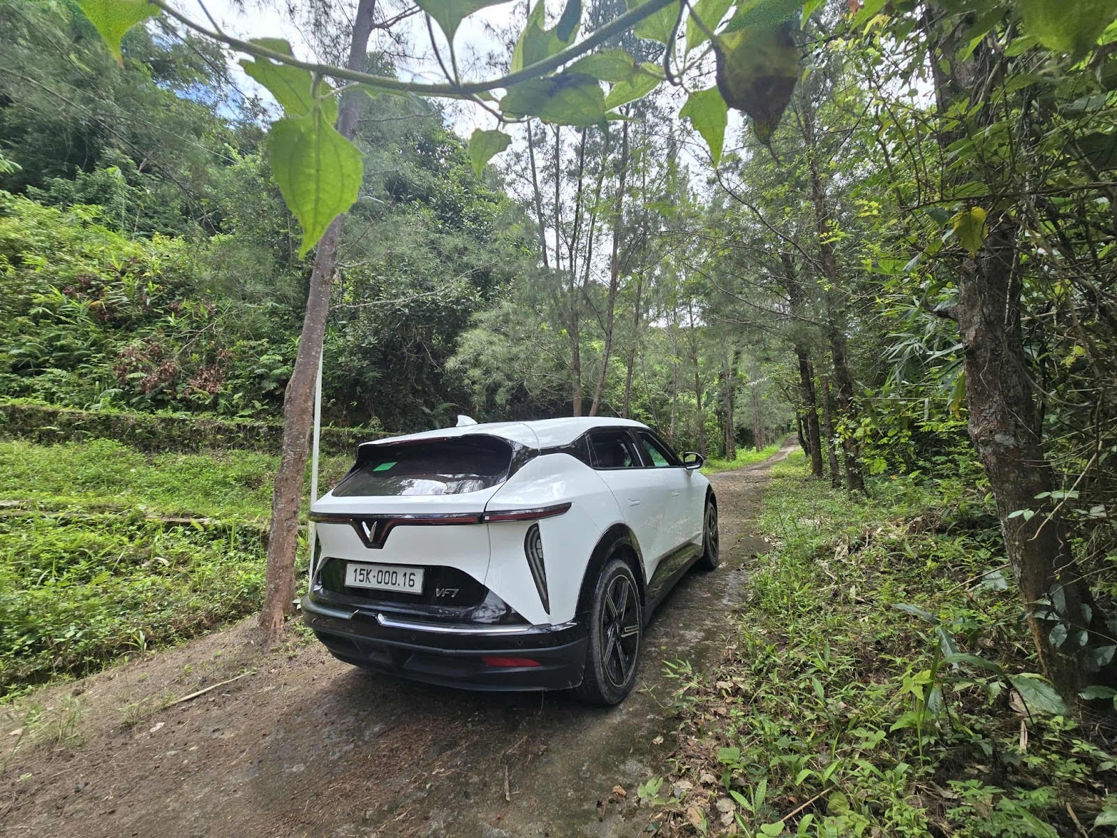 Gần chục đời xe xăng dầu chuyển sang xe điện l&agrave; y&ecirc;u ngay lập tức: 'L&aacute;i hay như BMW, b&aacute;n lại kh&ocirc;ng lo lỗ'- Ảnh 4.