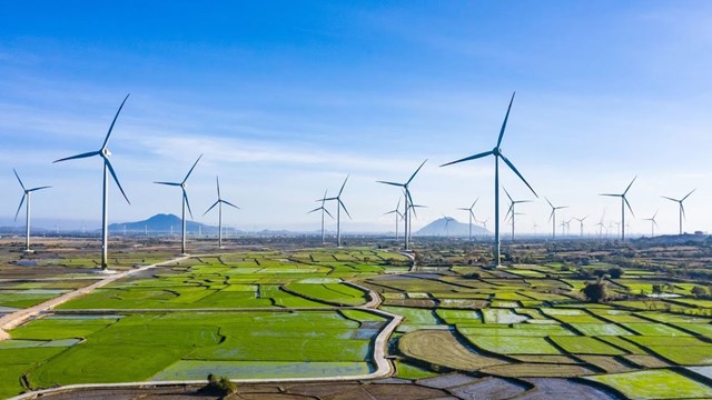 Quảng Trị mở đường cho dự &aacute;n 9.127 tỷ, khai th&aacute;c "kho b&aacute;u trời cho"- Ảnh 1.