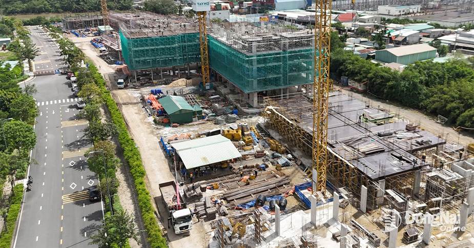 Căn hộ giá 1,1 tỷ đồng ngay cạnh siêu dự án 16 tỷ USD có gì hấp dẫn?- Ảnh 8.