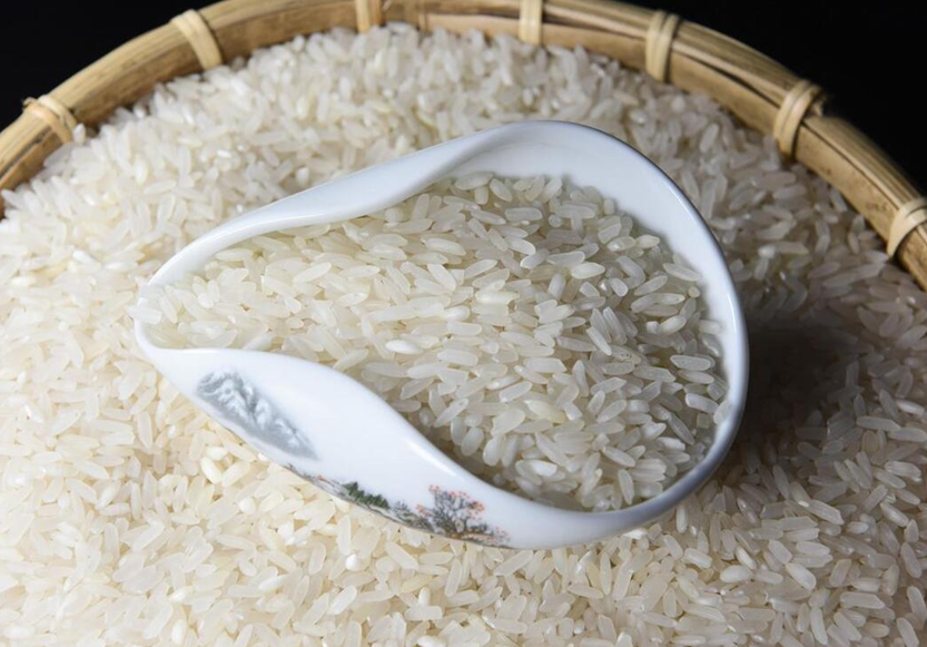 3 loại gạo đ&aacute;ng lẽ phải BỊ CẤM từ l&acirc;u, vậy m&agrave; nhiều người vẫn ăn- Ảnh 3.