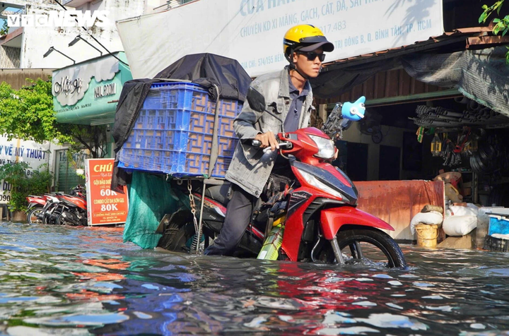 TP.HCM có nguy cơ trong nhóm 10 'thành phố đang chìm' nhanh nhất thế giới- Ảnh 1.