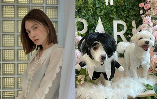 Công chúng dậy sóng với thông tin mới liên quan tới đời tư của tài tử Song Seung Hun- Ảnh 1. Công chúng dậy sóng với thông tin mới liên quan tới đời tư của tài tử Song Seung Hun- Ảnh 1.