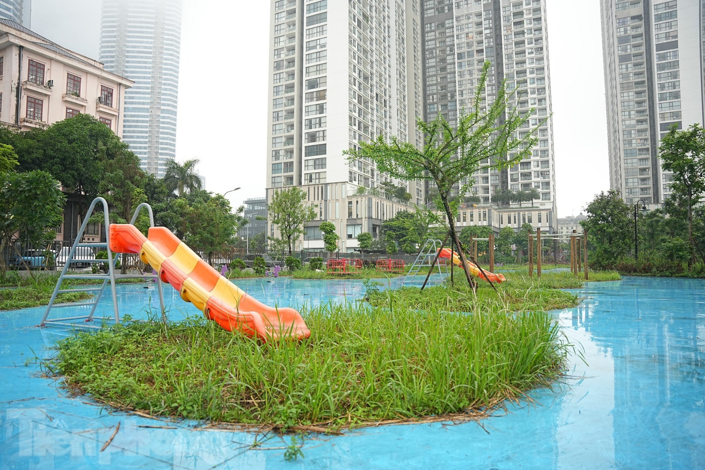 Những ‘lá phổi xanh’ Hà Nội đang bị bỏ quên- Ảnh 4.