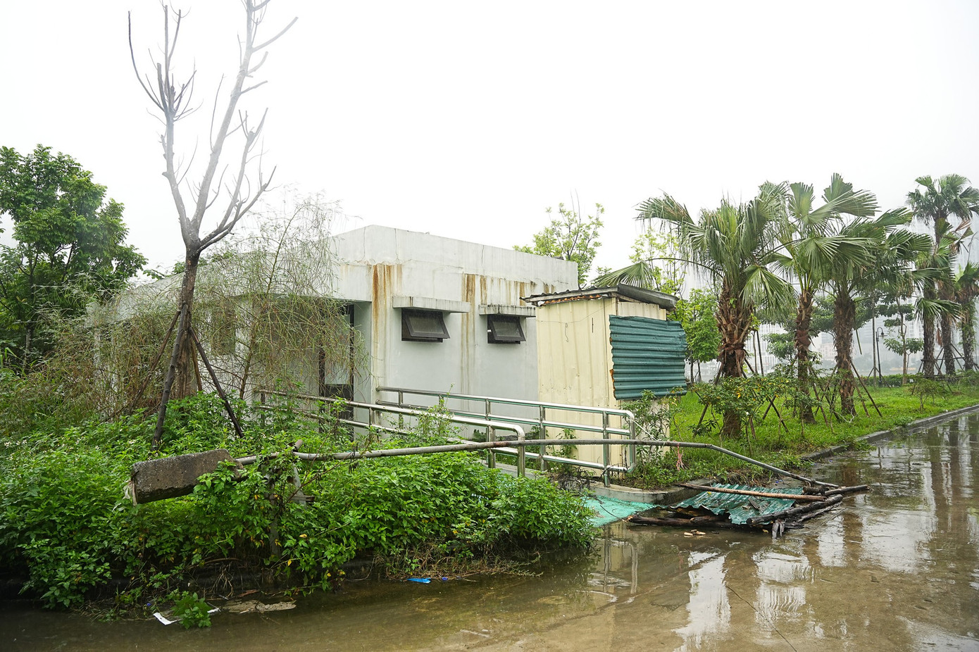 Những ‘lá phổi xanh’ Hà Nội đang bị bỏ quên- Ảnh 9.