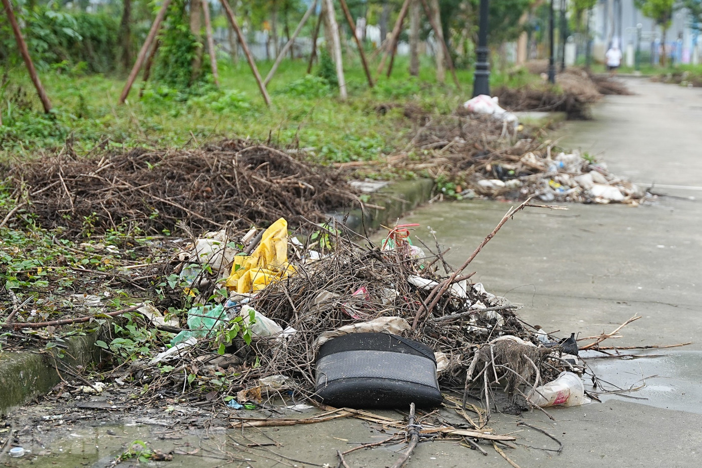 Những ‘lá phổi xanh’ Hà Nội đang bị bỏ quên- Ảnh 3.