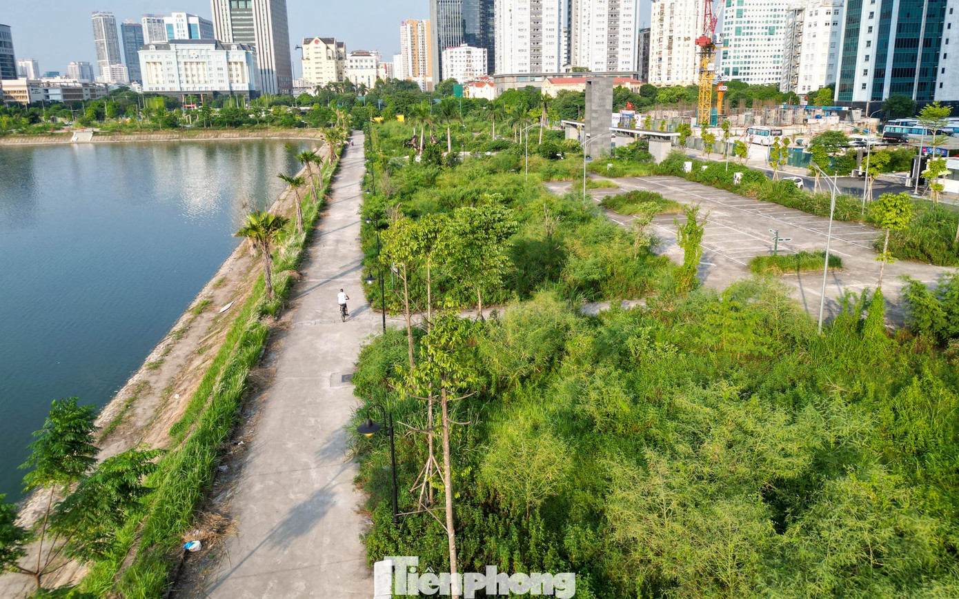 Những ‘lá phổi xanh’ Hà Nội đang bị bỏ quên- Ảnh 1.