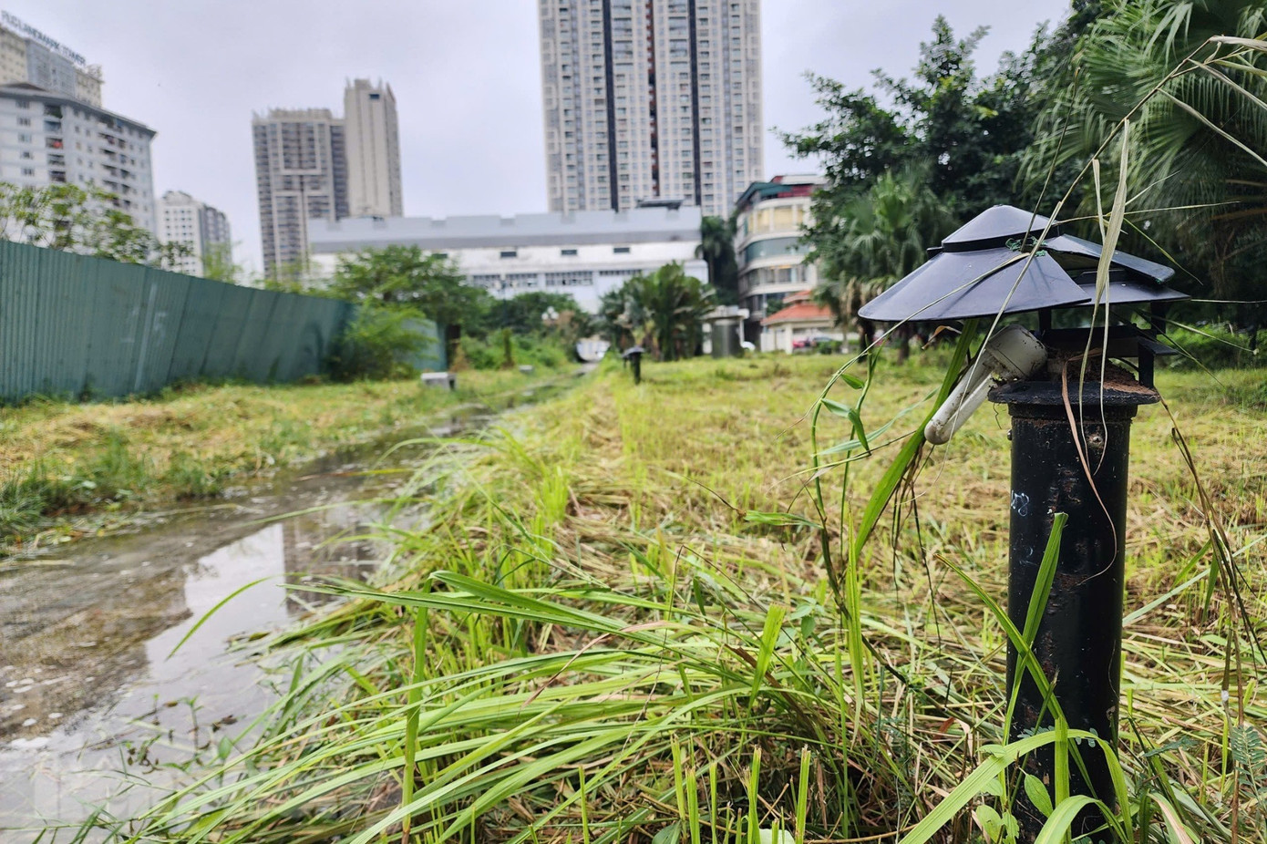 Những ‘lá phổi xanh’ Hà Nội đang bị bỏ quên- Ảnh 14.