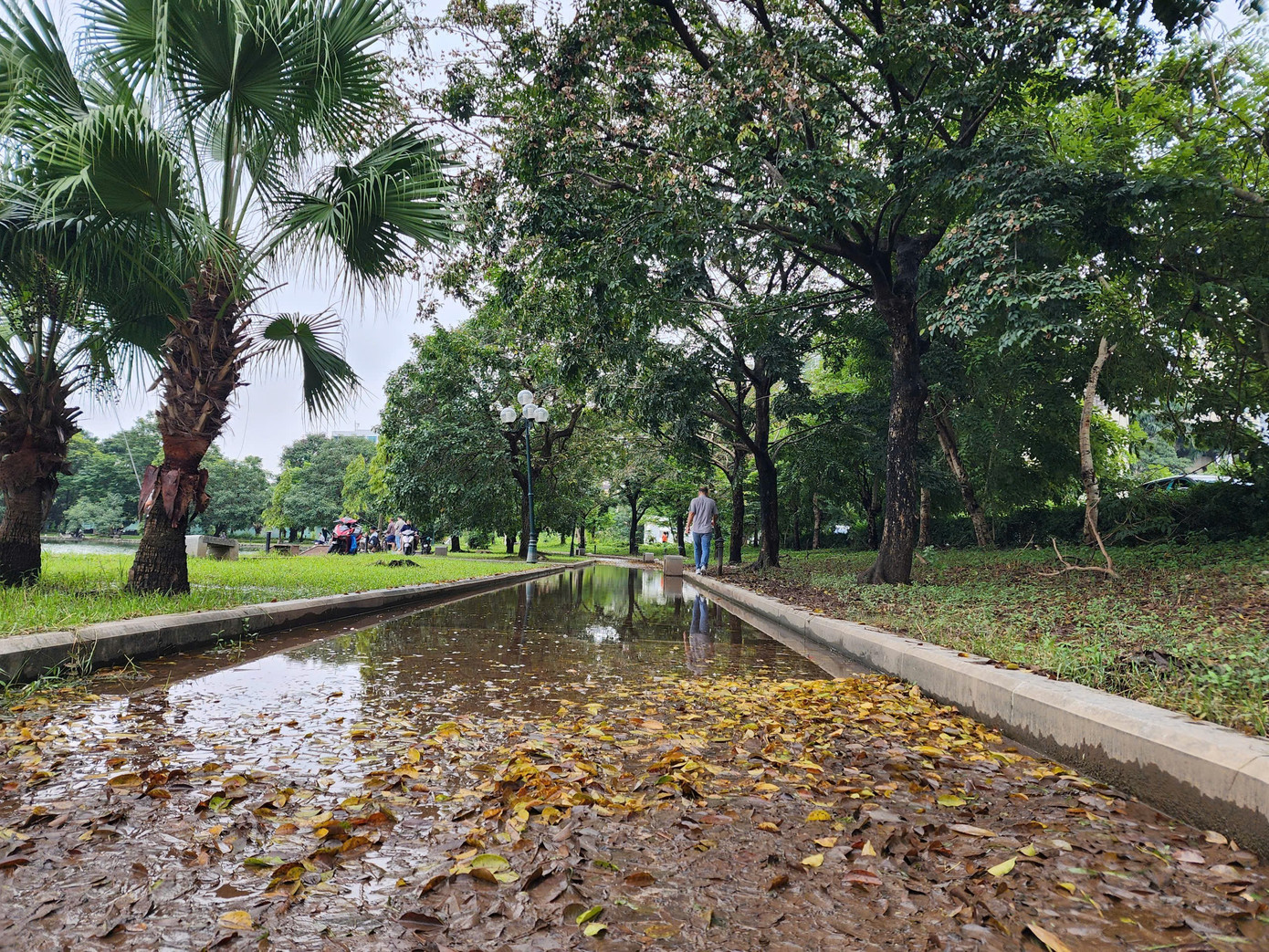 Những ‘lá phổi xanh’ Hà Nội đang bị bỏ quên- Ảnh 13.