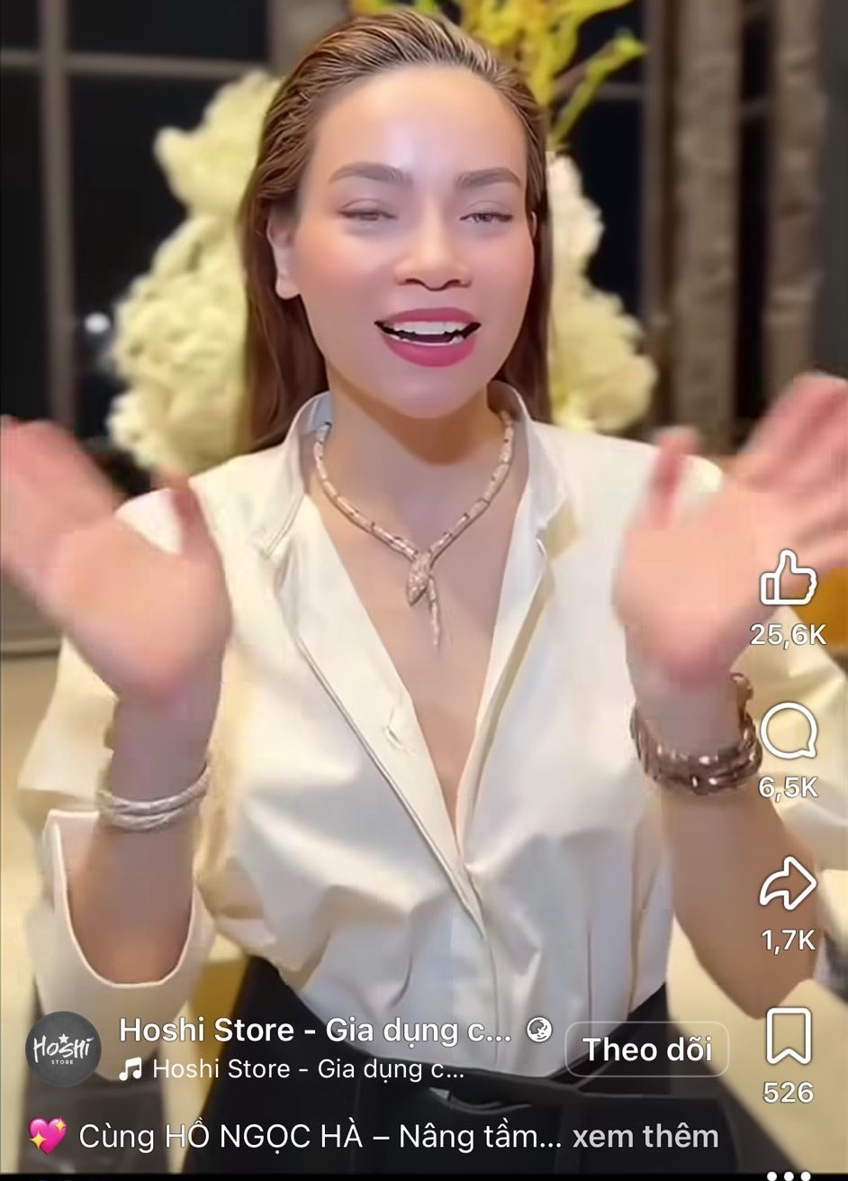 Hồ Ngọc Hà kêu cứu- Ảnh 1.