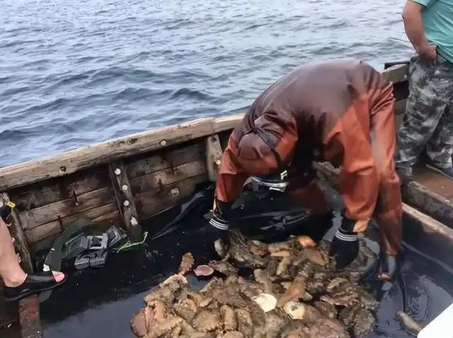 Bị chê cười vì ném 1,58 triệu tấn đá xuống biển trong 5 năm liên tiếp, người đàn ông kiếm được 185 tỷ đồng/năm nhờ “ngân hàng” dưới đại dương- Ảnh 3. Bị chê cười vì ném 1,58 triệu tấn đá xuống biển trong 5 năm liên tiếp, người đàn ông kiếm được 185 tỷ đồng/năm nhờ “ngân hàng” dưới đại dương- Ảnh 3.