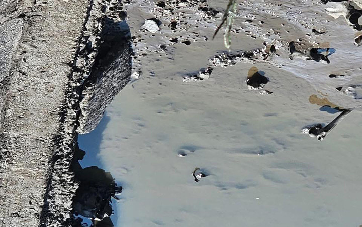 Phát hiện bộ hài cốt trong ao nuôi cá của người dân Hải Phòng- Ảnh 1.