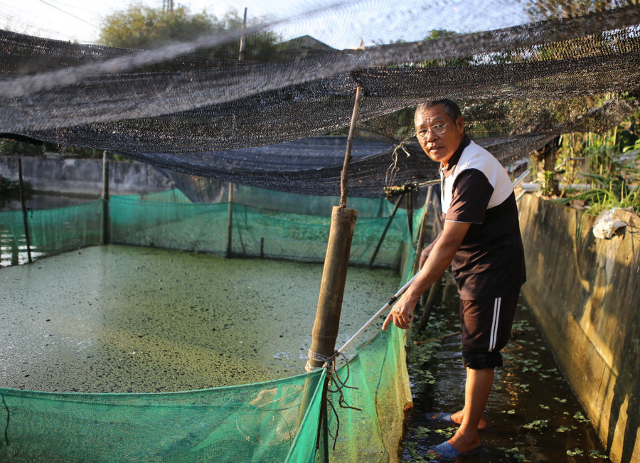 Tìm ra “mỏ vàng" trong ao, lão nông Hưng Yên mở lối đổi đời- Ảnh 6.