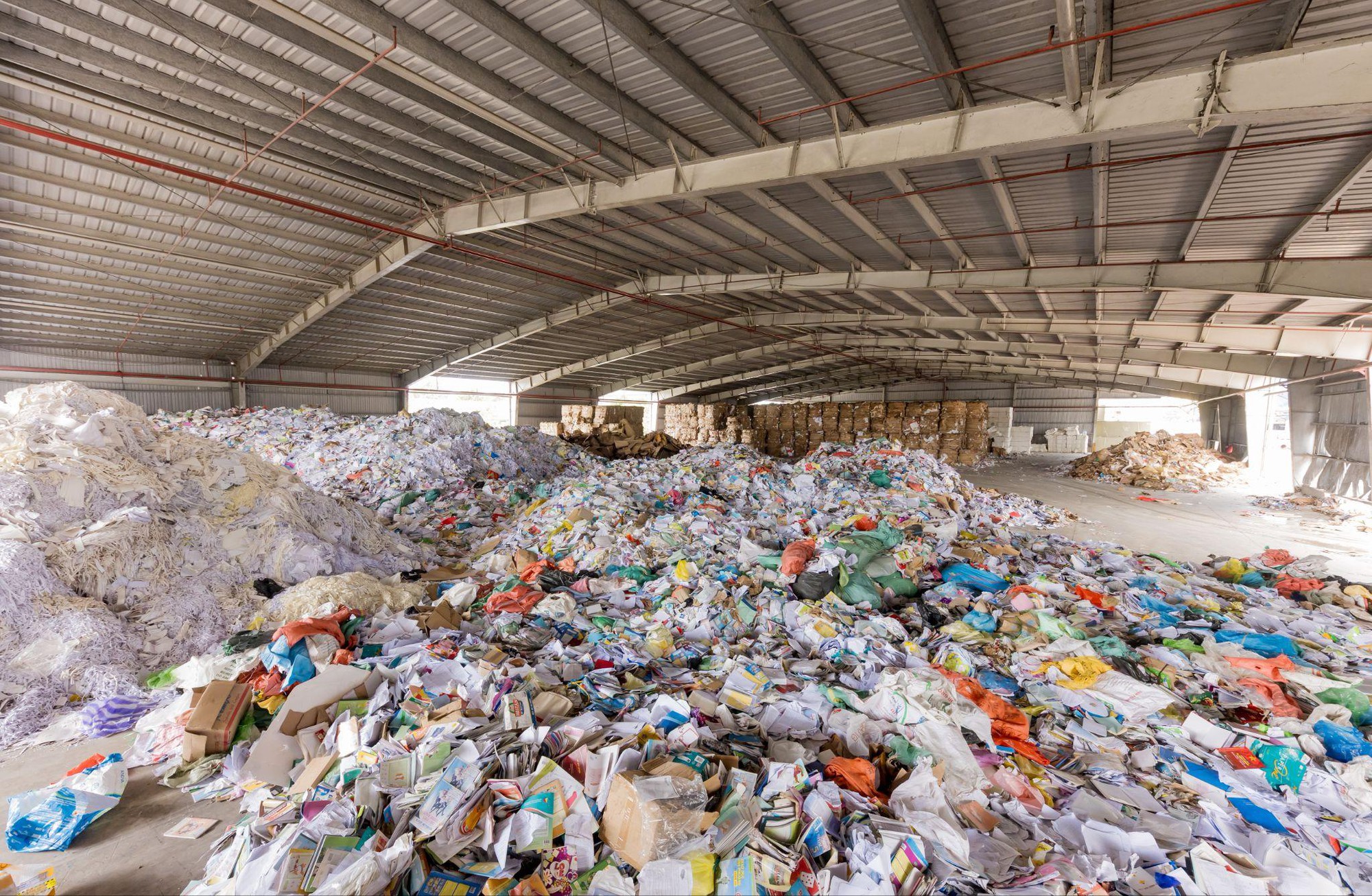 Tưởng đống giấy lộn, ai ngờ lại là 