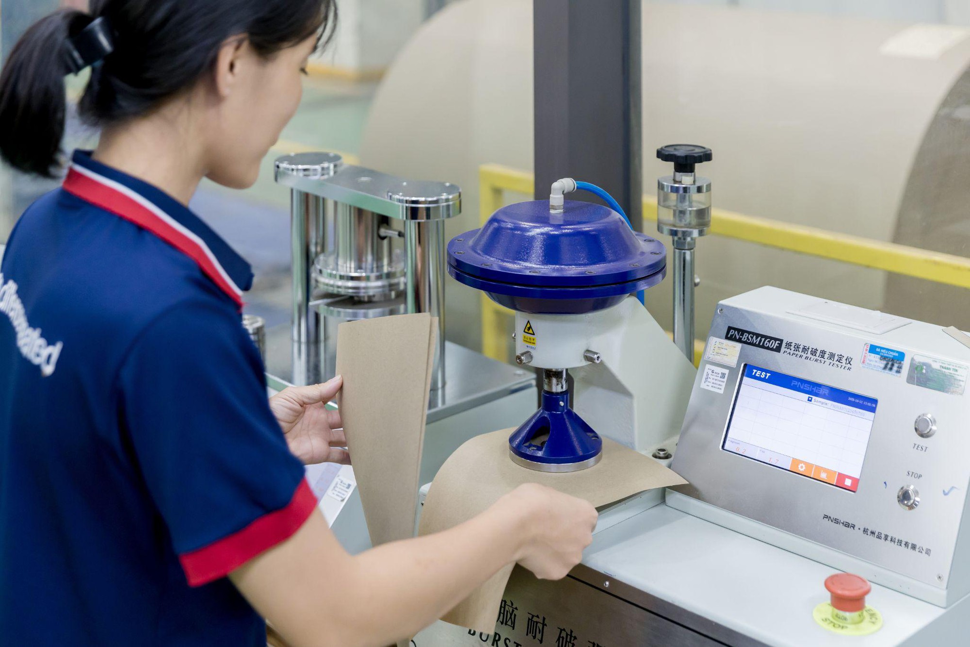 Tưởng đống giấy lộn, ai ngờ lại là 