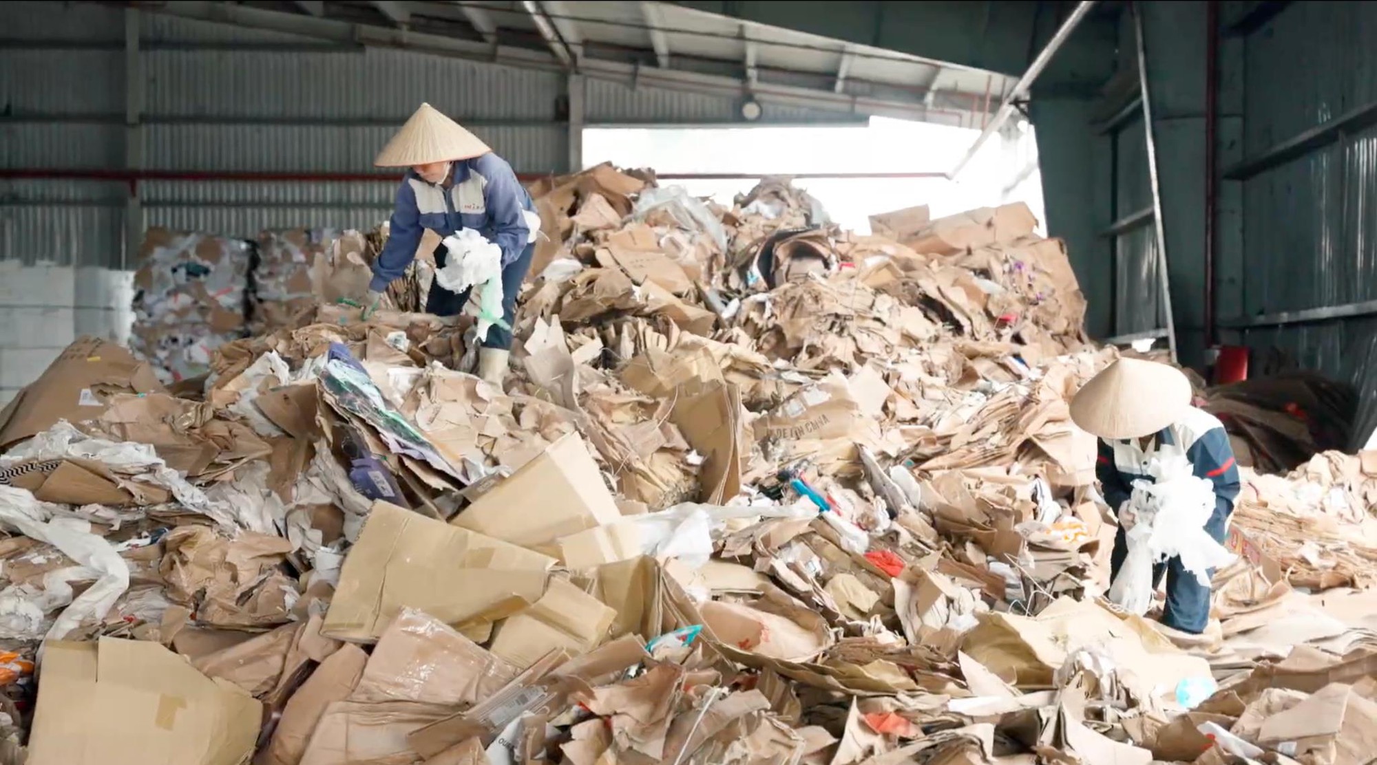 Tưởng đống giấy lộn, ai ngờ lại là 