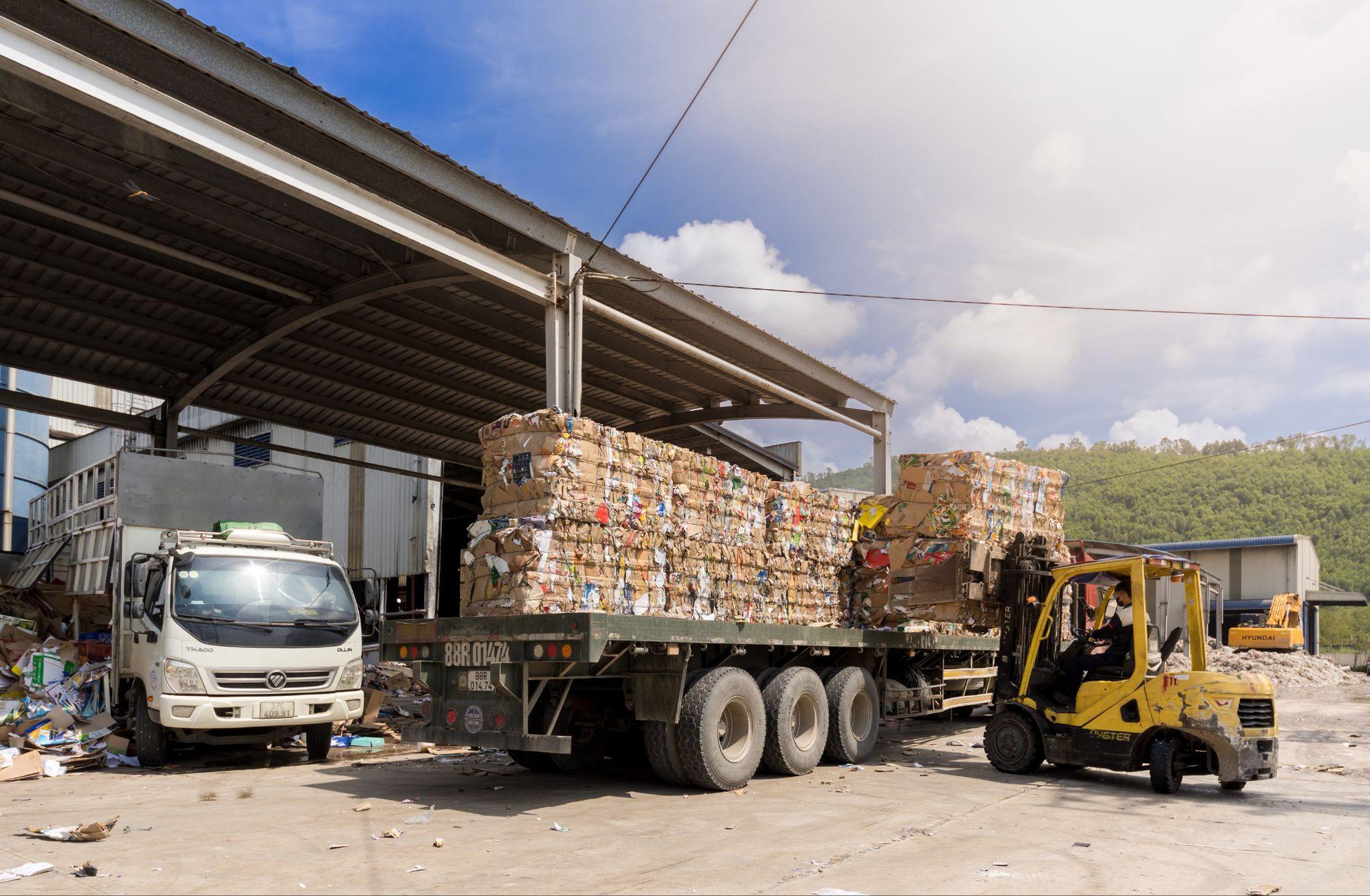 Tưởng đống giấy lộn, ai ngờ lại là 