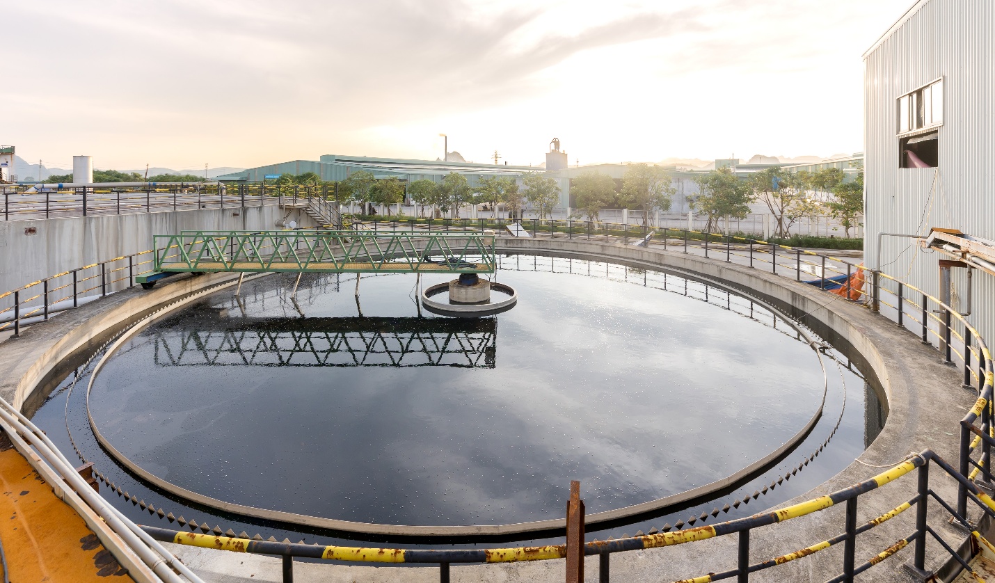 Hồi sinh thứ bỏ đi: Chuyện về “cô gái nông thôn” Miza và hành trình 15 năm bền bỉ- Ảnh 8.